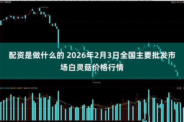 配资是做什么的 2026年2月3日全国主要批发市场白灵菇价格行情