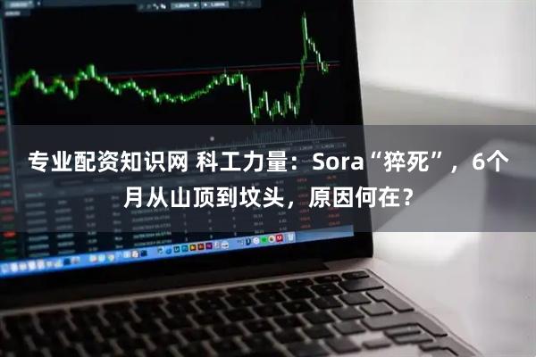 专业配资知识网 科工力量：Sora“猝死”，6个月从山顶到坟头，原因何在？